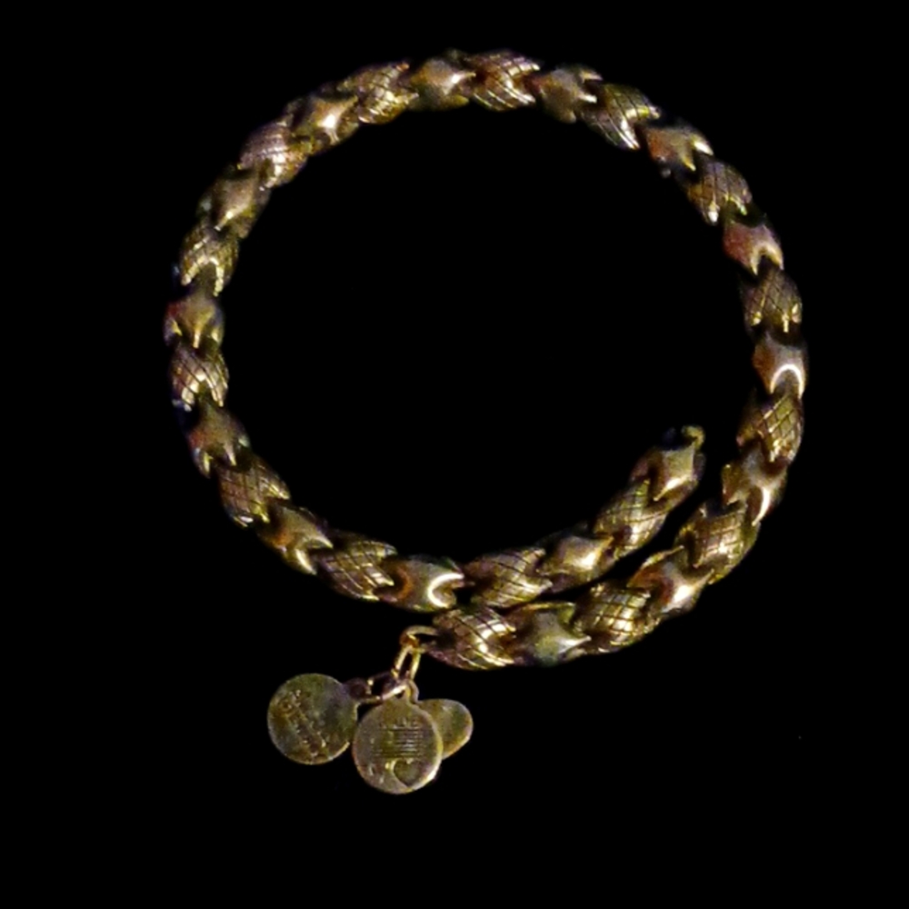 Alex & Ani Vintage 66 flexible bangle